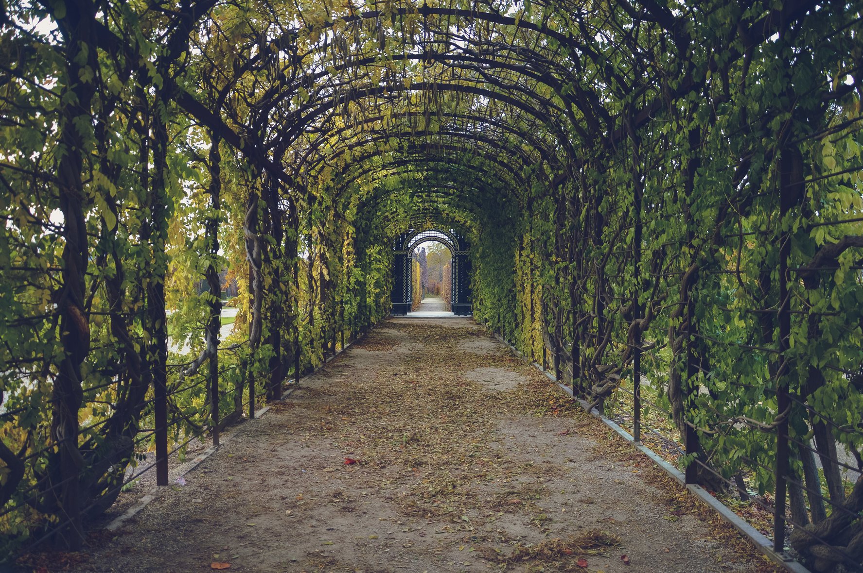 Beautiful Garden Path